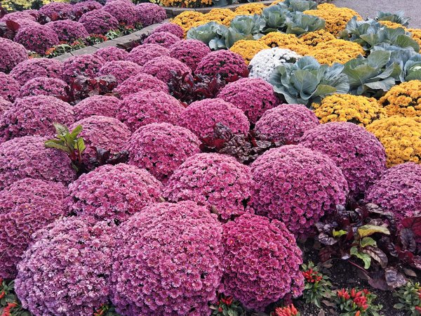 Décryptage : Les bibliothèques modulables, une tendance du mobilier contemporain